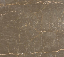 Fantasy Brown Marble